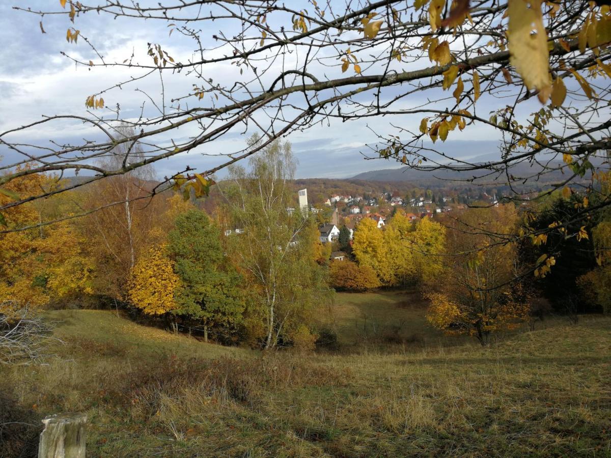 Ravensbergblick - Harzlich Willkommen In 巴特萨克萨 外观 照片